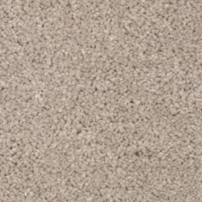 Natural Splendor II Overcast Triexta Carpet