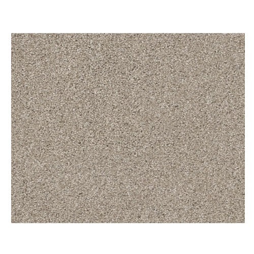 Sweet Inspiration I Net Catnip Nylon Carpet - Textured