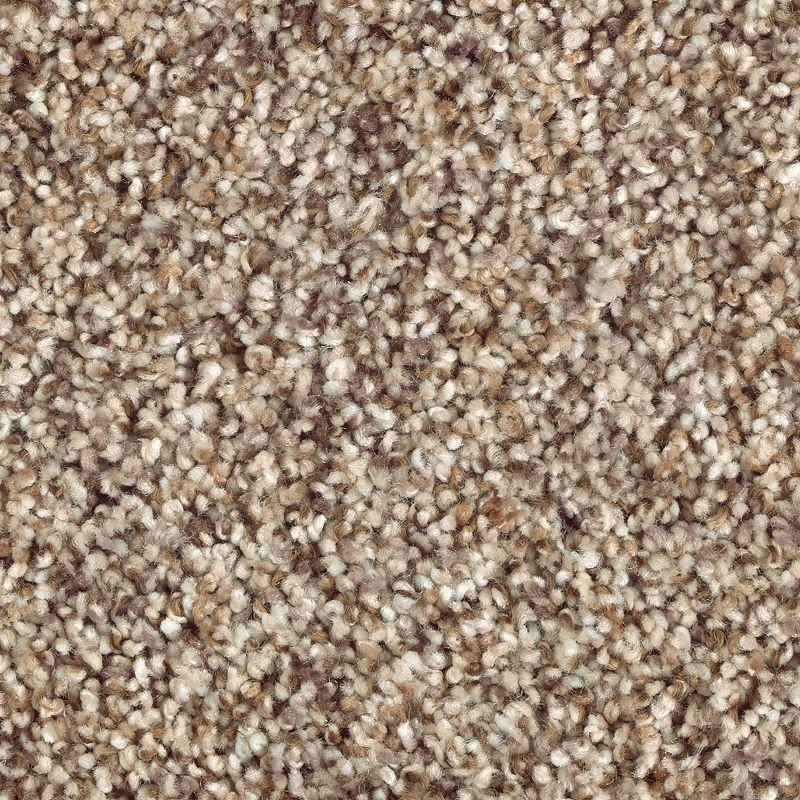 Nature's Luxury Ii Thistle Triexta Carpet - Textured
