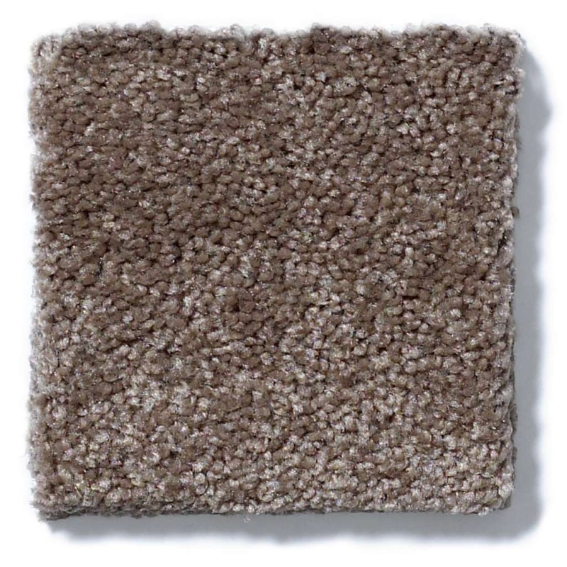 Laguna Beach Rustic Taupe Nylon Carpet