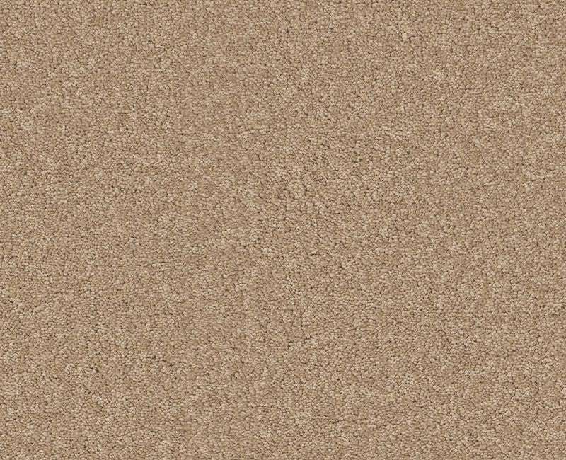 Endura I 12' Stucco Nylon Carpet - Pattern