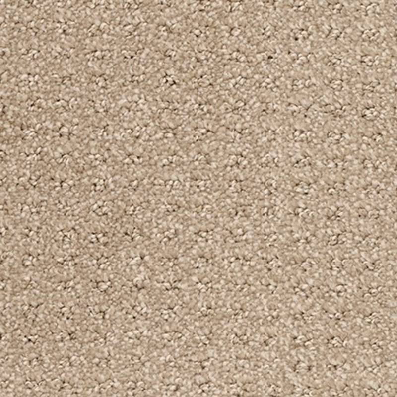 Seabrook Ii Prairie Polyester Carpet - Loop