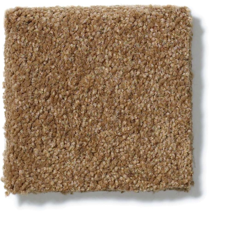 Sandy Hollow Classic IV 15' Windmill Nylon Carpet - Textured