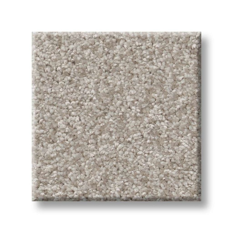 Pet Perfect You Got This I Sculpture Polyester Carpet - Textured