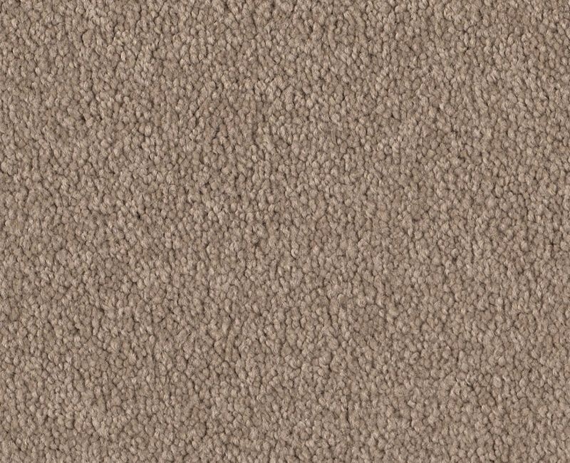 Before Dawn (S) Putty Nylon Carpet - Textured