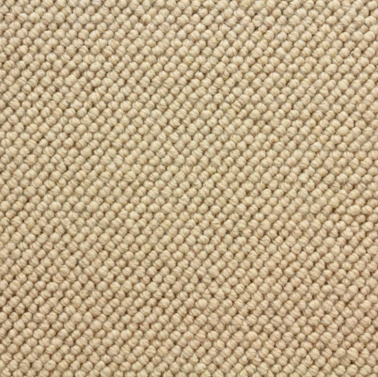 Stanton Wool Studio Alta Sundance Loop Carpet