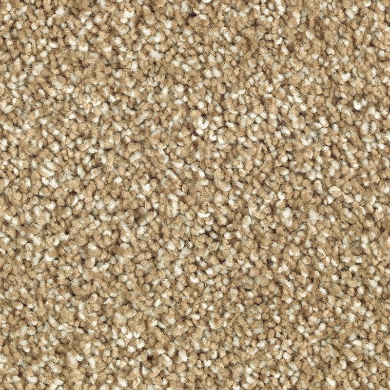 Natural Refinement I Toasted Bagel Triexta Carpet