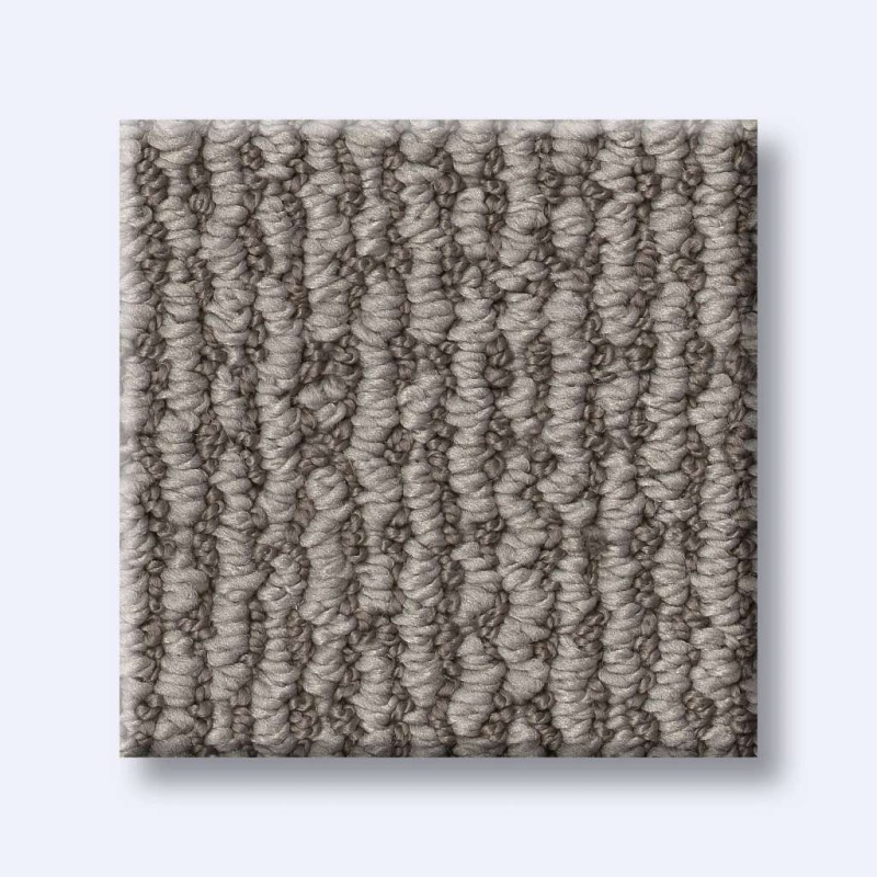 Pet Perfect Plus Crafted Embrace Stormy Breeze Polyester Carpet
