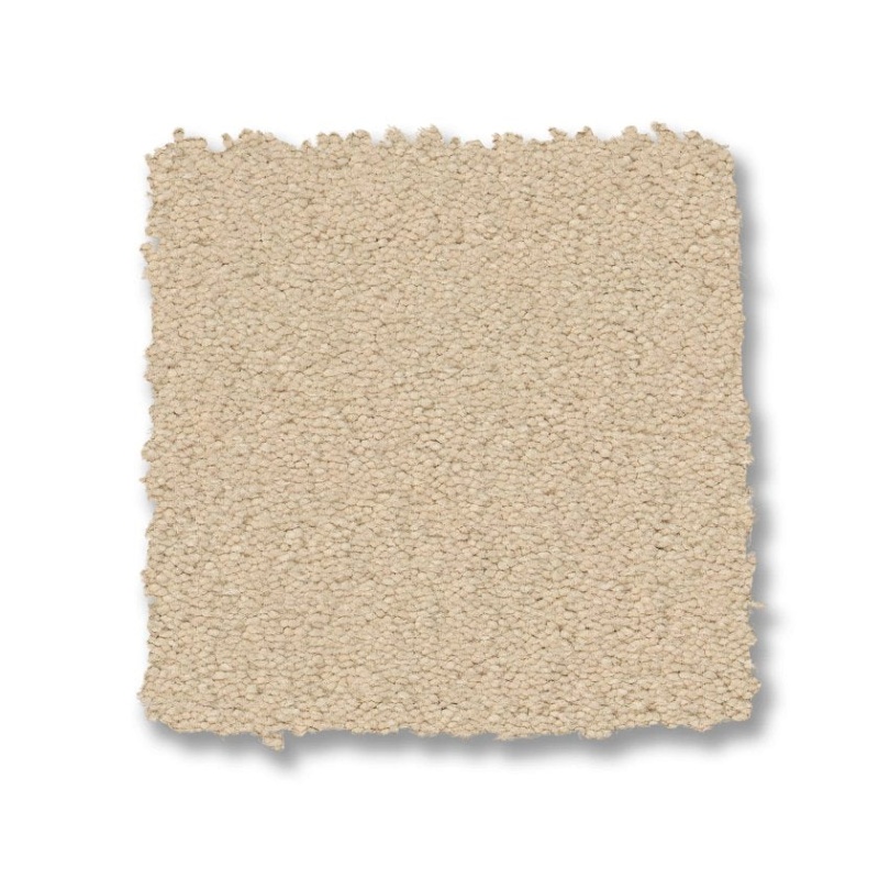 Finery Goose Nylon Carpet - Textured