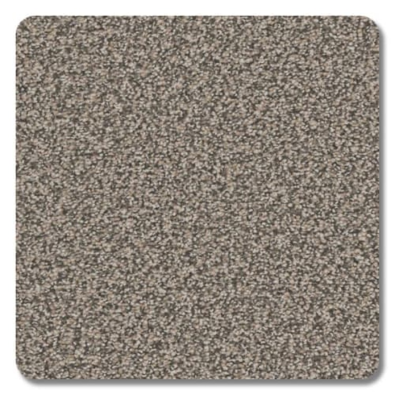 Riverbend Creek Bed Polyester Carpet - Textured