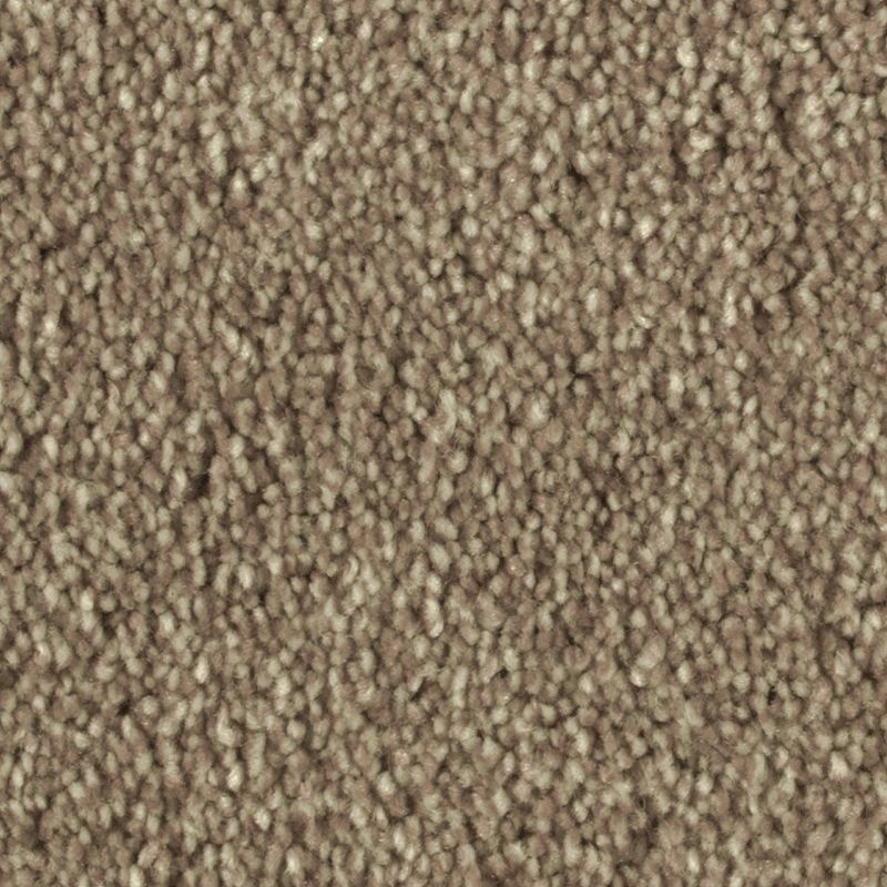 Distinct Beauty Ii Dakota Polyester Carpet - Textured