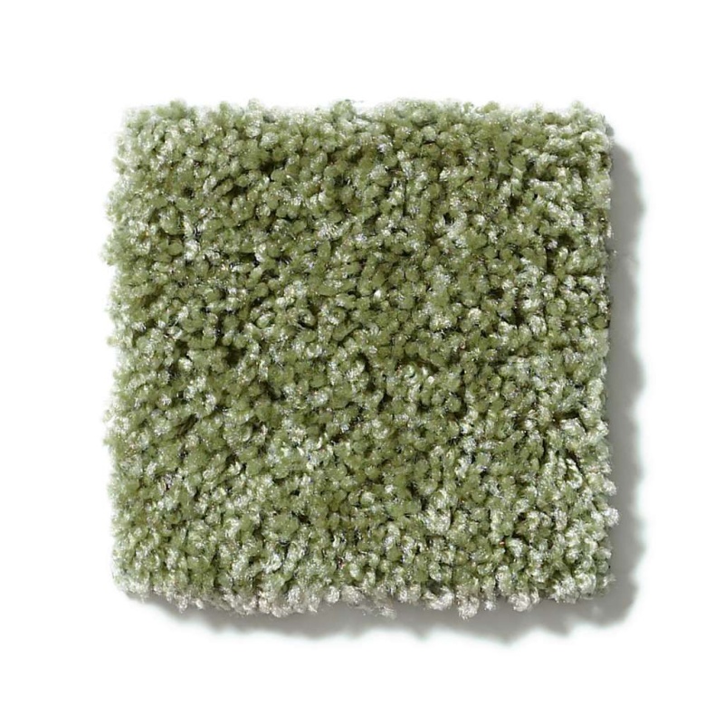 Dreamin' 12' Spring Valley Nylon Carpet - Textured