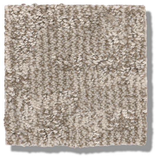 Pet Perfect Paw Tay Birch Nylon Carpet