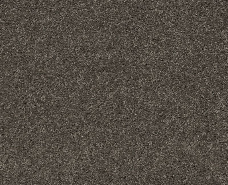 The Rustic Loop Detailed Elegance I Rustic Elegance Nylon Carpet - Loop