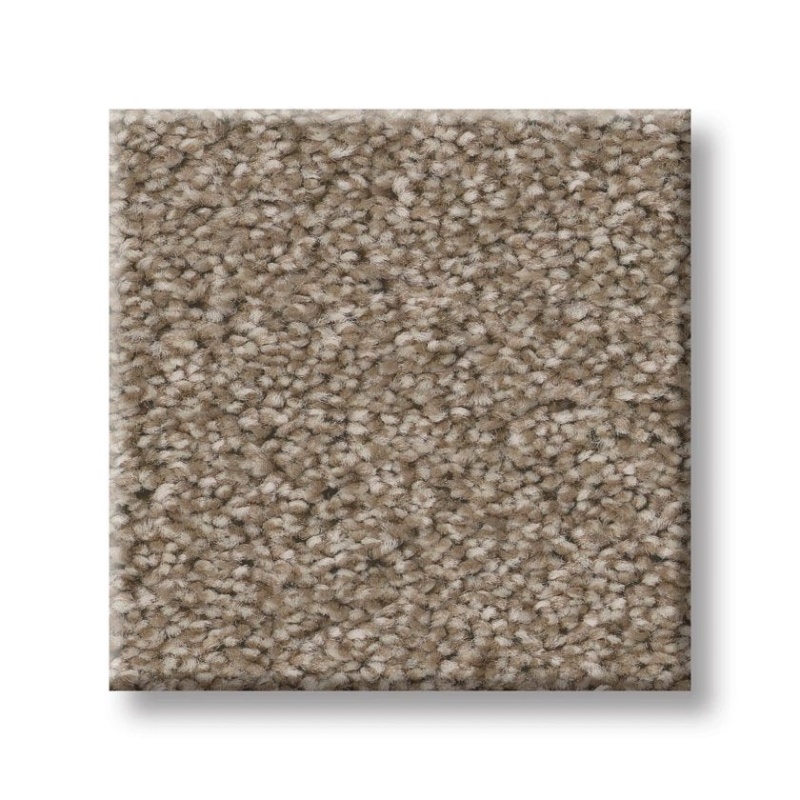 Good Move I Grecian Tan Textured Polyester Carpet