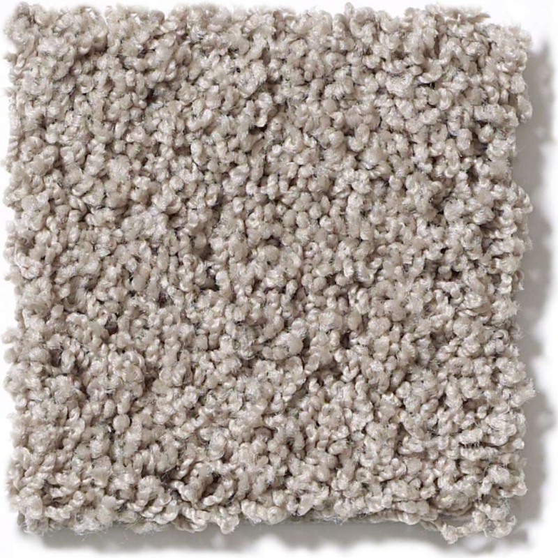 Lonestar Tasteful Taupe Nylon Carpet - Textured
