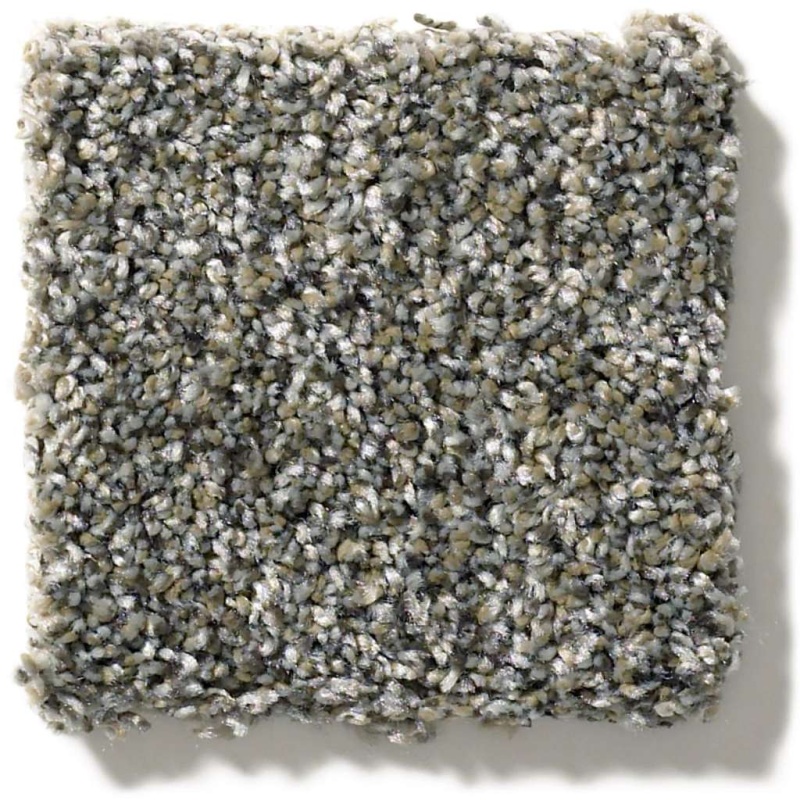 Simply The Best All Over It II Granite Dust Polyester Carpet