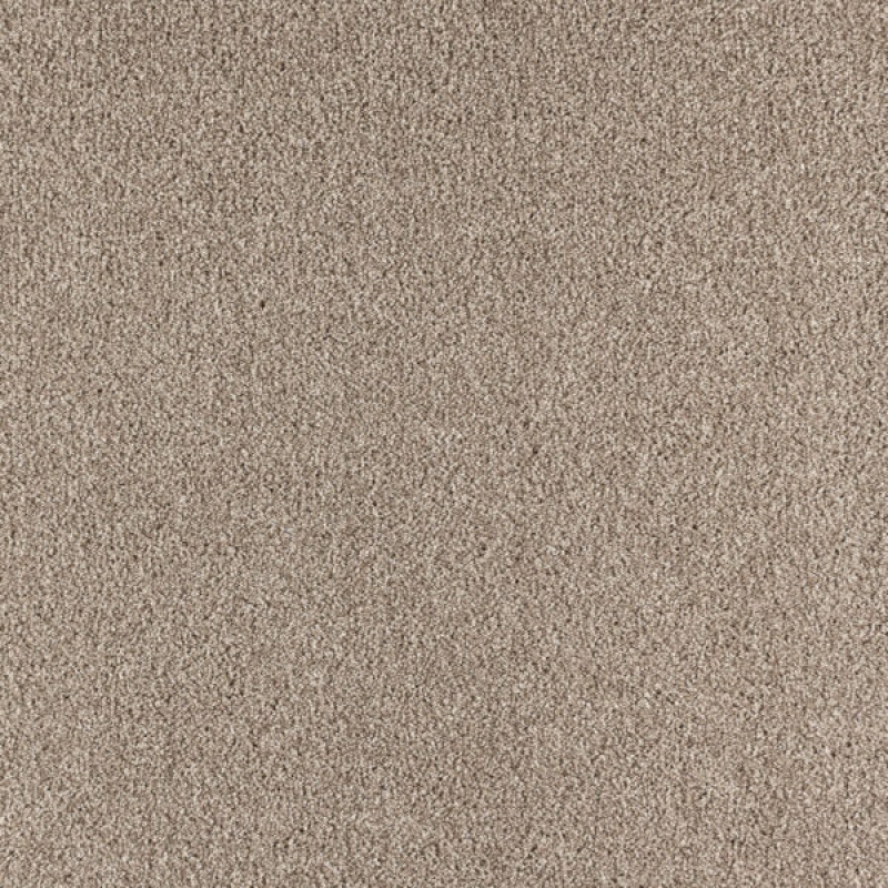 Paramount Super Natural Polypropylene Carpet - Textured