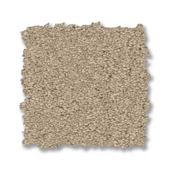 Enchanting Buff Nylon Carpet - Textured