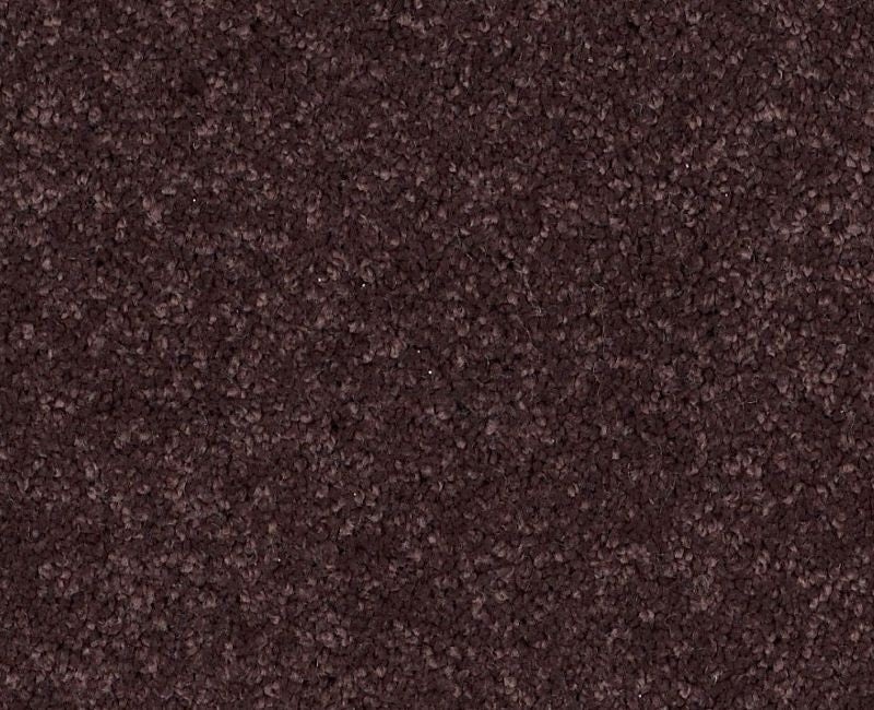 Pelotage Iv Mountain Haze Nylon Carpet - Textured