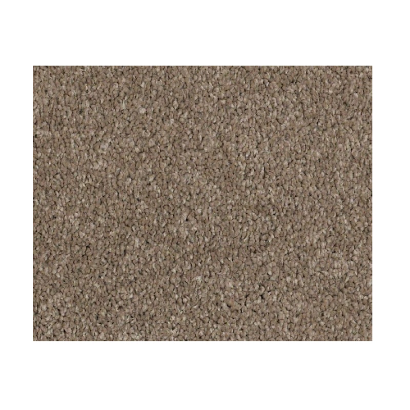Castle PV I Mesquite Nylon Carpet - Textured
