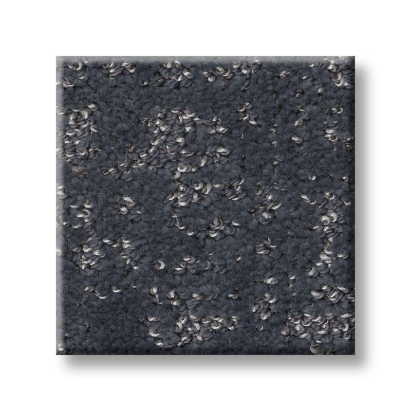 Pet Perfect Plus Home Within Refined Polyester Carpet - Pattern