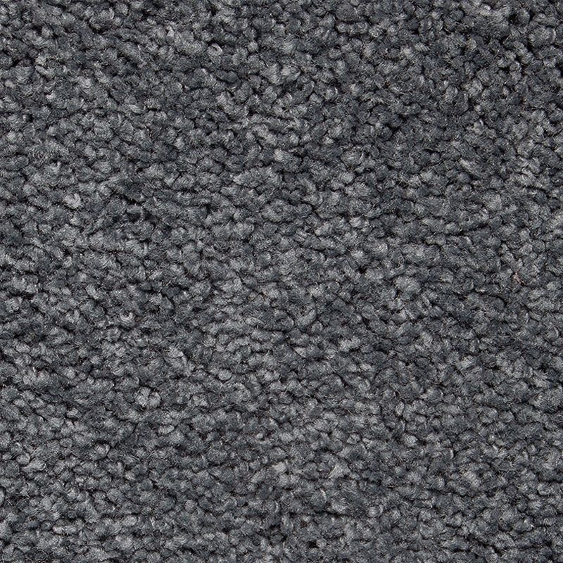 Gentle Approach Blue Twilight Triexta Carpet - Textured