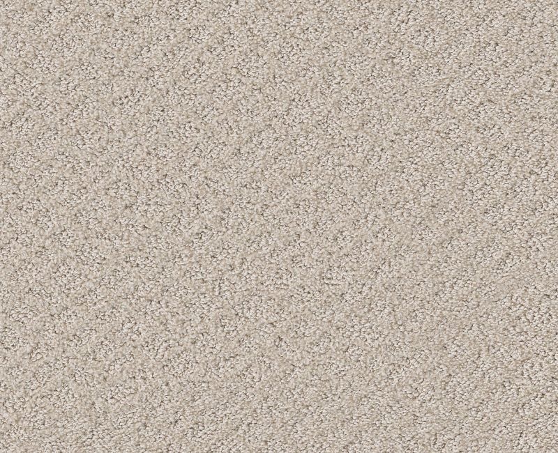 Mod Beauty Washed Linen Nylon Carpet - Loop