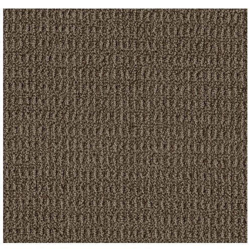 Crystal Cove Shitake Nylon Carpet - Pattern