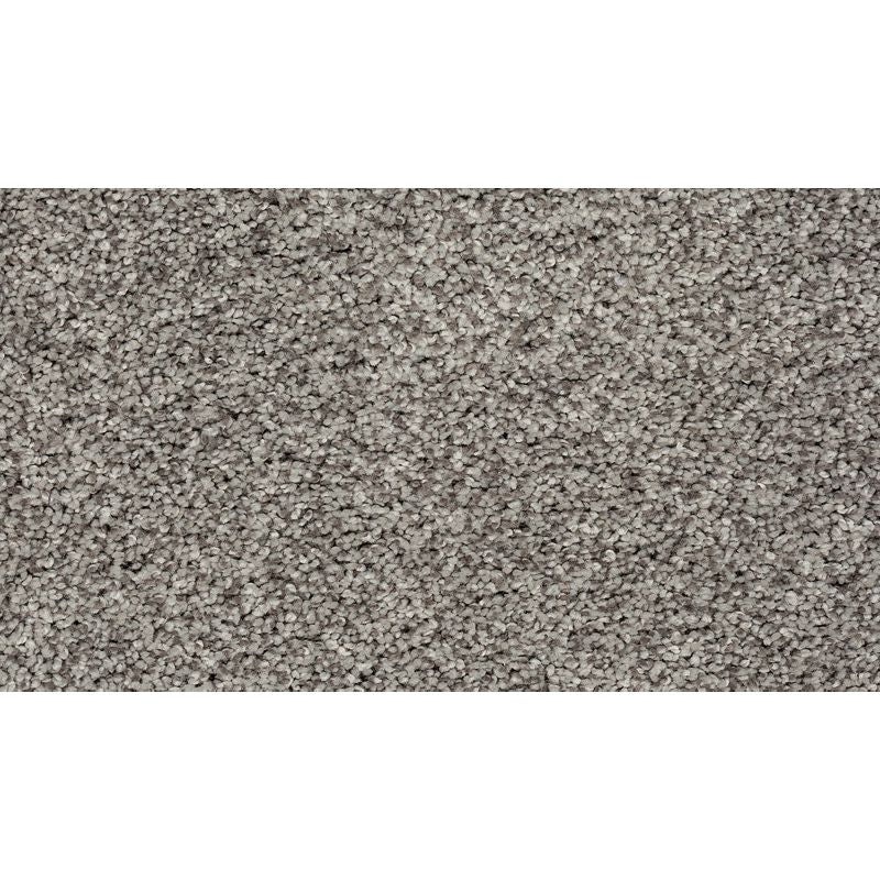 Soft Direction I Notion Polyester Carpet - Textured