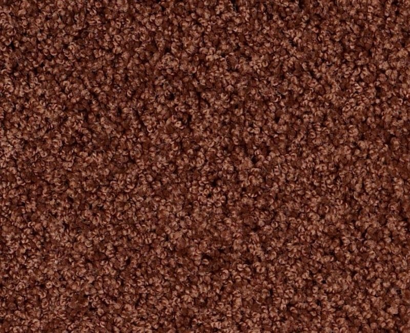 Playa Blanca Terra Cotta Nylon Carpet - Textured