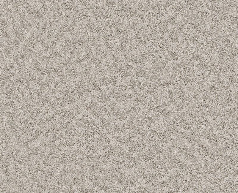 Showy Baltic Stone Nylon Carpet - Loop