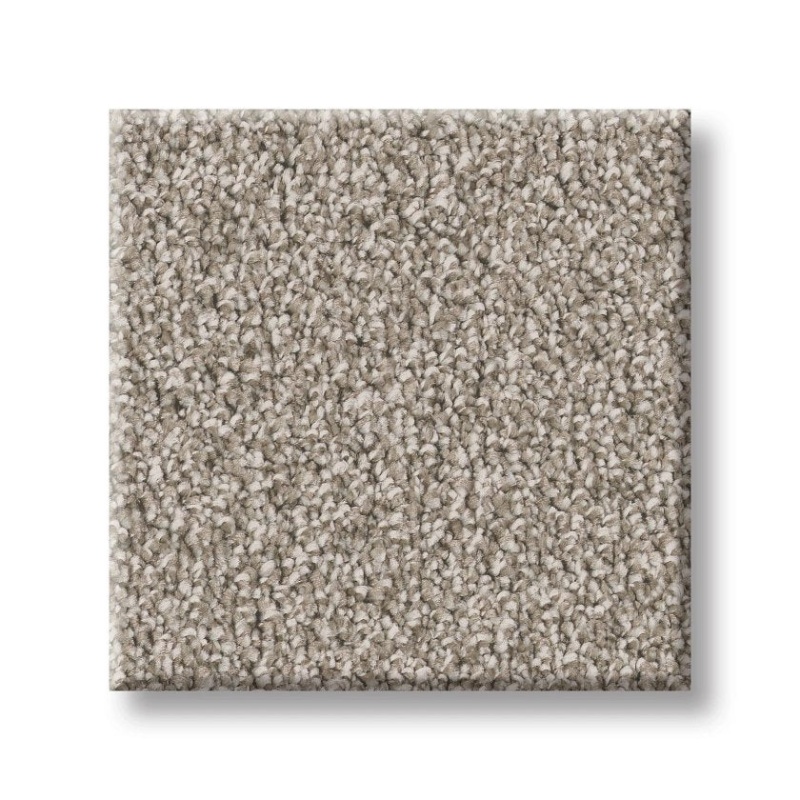 Imaginable III Granite Dust Polyester Carpet - Textured