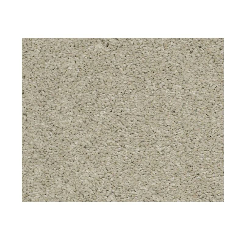 Castle Pv Iii Spruce Nylon Carpet - Textured
