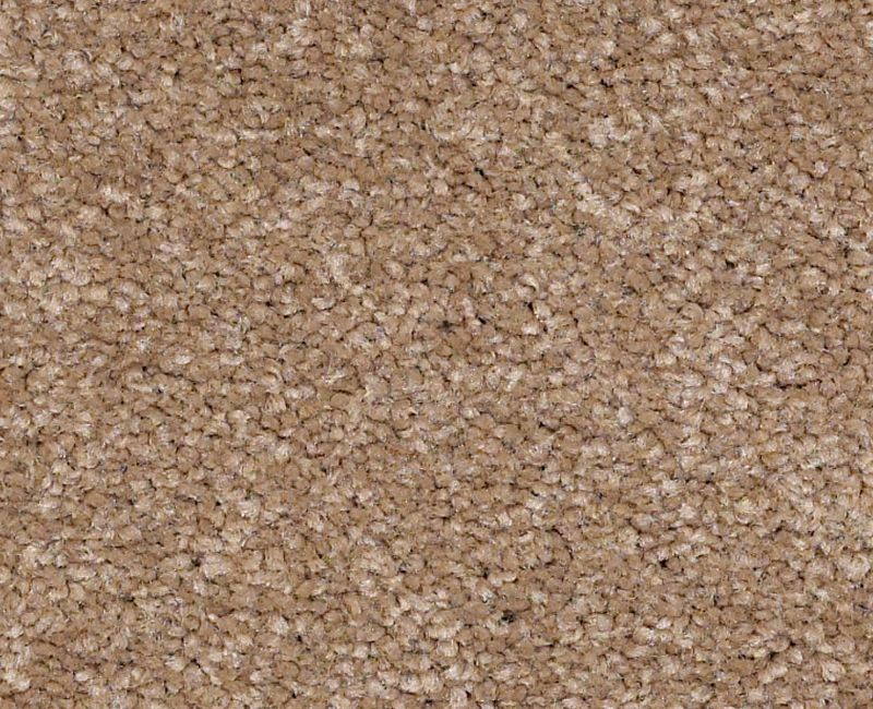 Magic Happens Pv Iii Wheat Grass Nylon Carpet - Textured