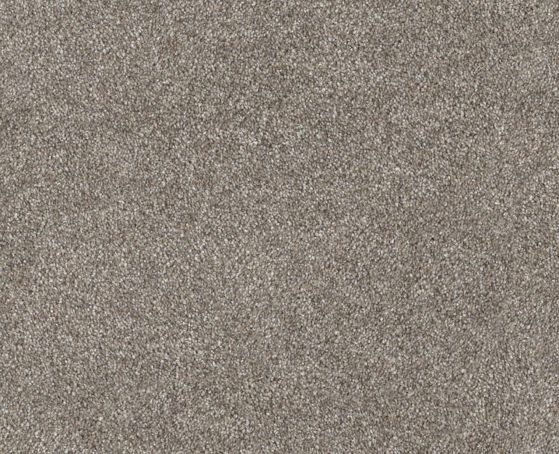 Provisional I Abalone Polyester Carpet - Textured
