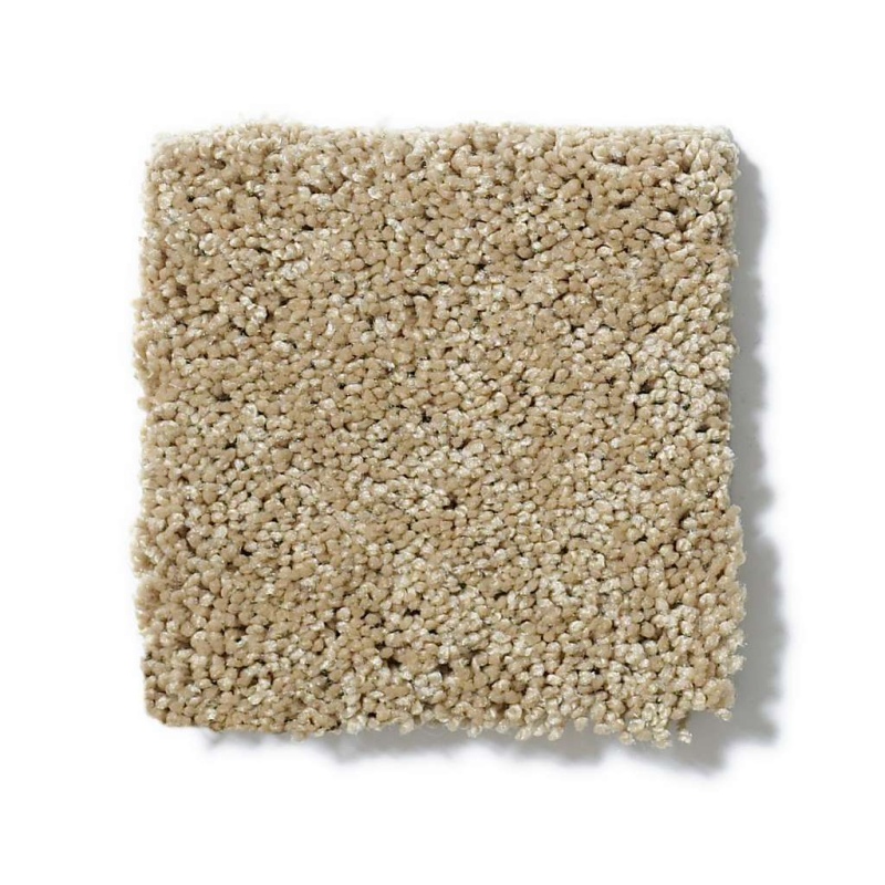 Enduring Comfort Ii Cologne Mist Nylon Carpet - Textured