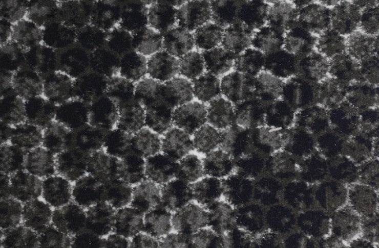 Clearance Sale! Stardust Nostalgia Tarnished Metal Polypropylene & Polyester Carpet - Pattern - 13'2" X 19'9" Dye Lot: T-2