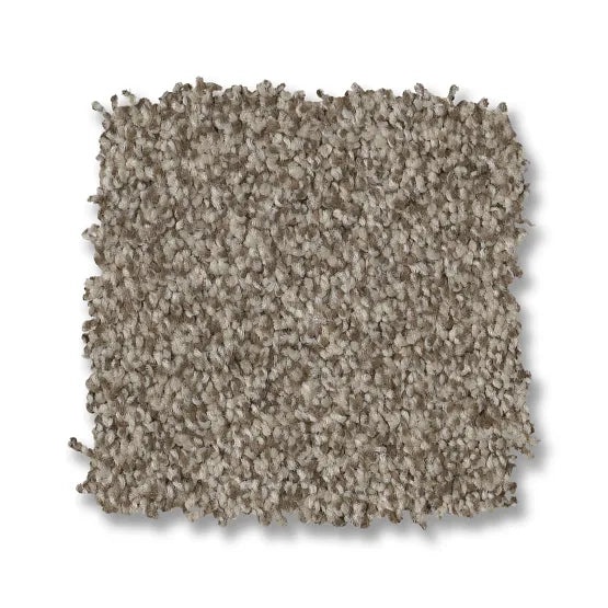Bossa Nova Urban Nature Nylon Carpet - Textured