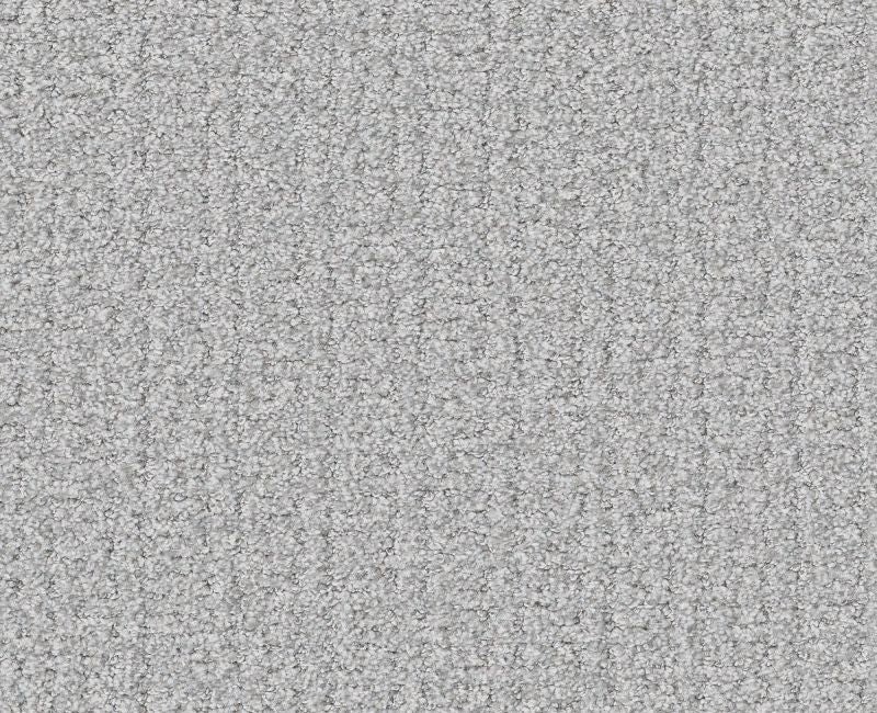 Passing By Reflection Polyester Carpet - Textured