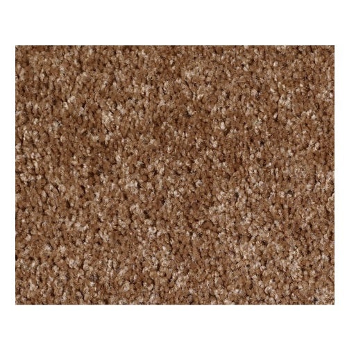 Vermont (S)12' Ridgecrest Nylon Carpet - Textured