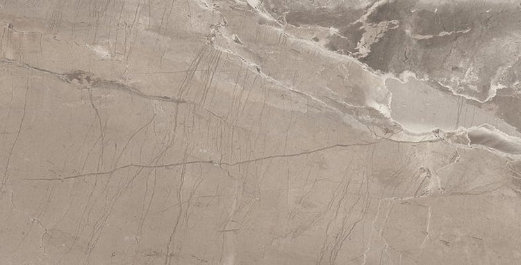 Regnova Mushroom Porcelain Tile - Matte - 12" X 24"