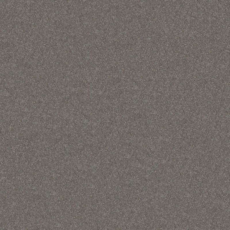 Simply The Best Without Limits Ii Tundra Polyester Carpet - Textured