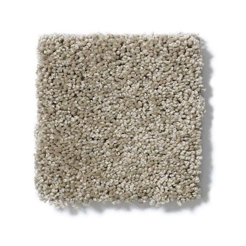 Soft Shades My Choice Ii Smooth Slate Nylon Carpet - Textured