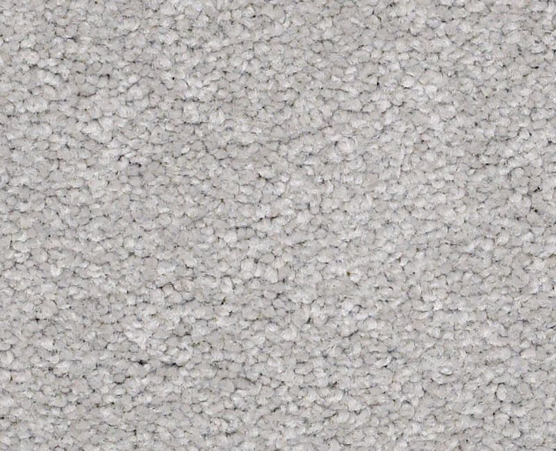 Magic Happens PV III Nickel Textured Nylon Carpet