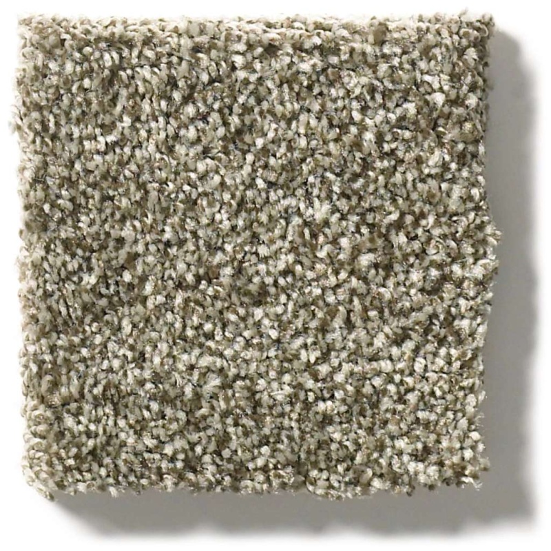 Pet Perfect Plus Just A Hint I Dreamy Taupe Polyester Carpet - Textured