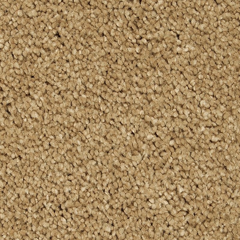 Gentle Approach Stonington Beige Triexta Carpet