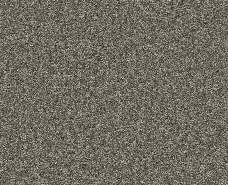 Big News I Rerooted Nature Polyester Carpet