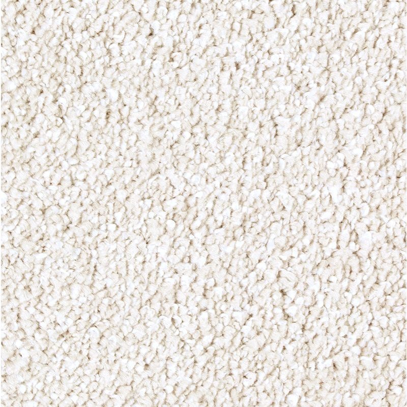 Exquisite Tones Harmony Triexta Carpet - Textured