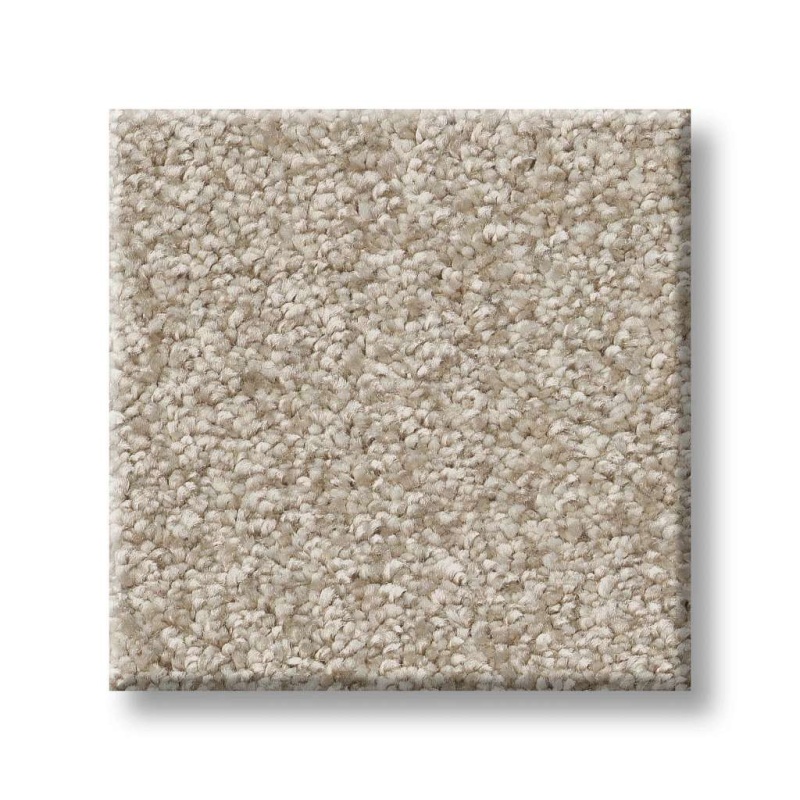 Pet Perfect You Got This Iii Natural Polyester Carpet - Textured